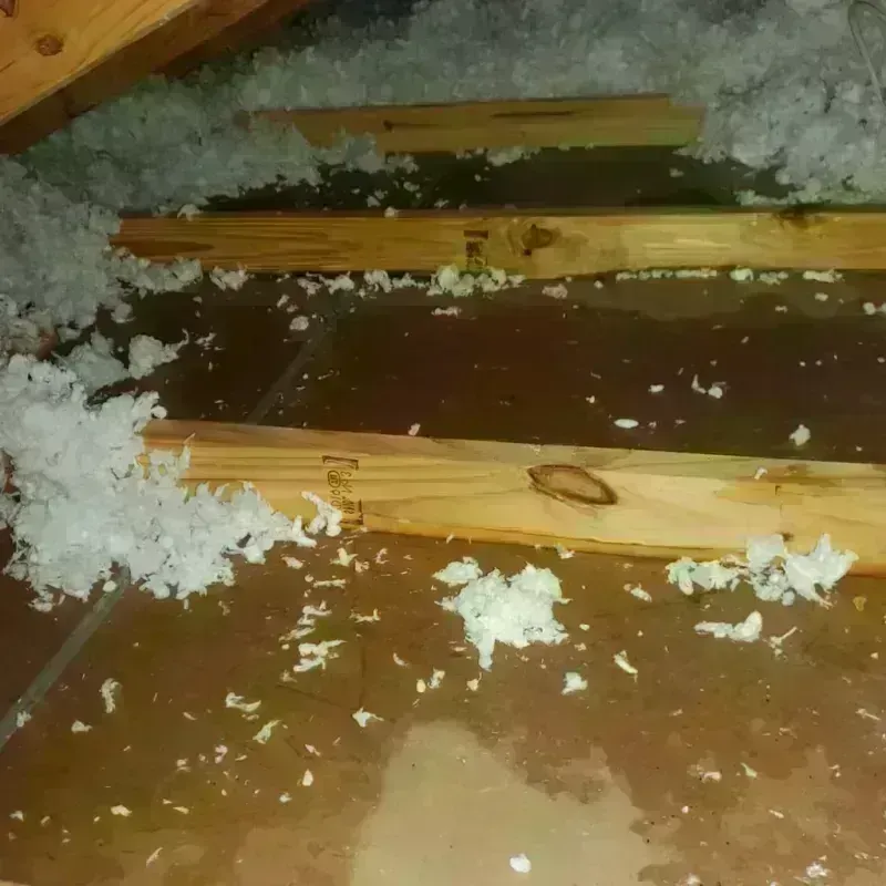 Attic Water Damage in San Miguel County, NM