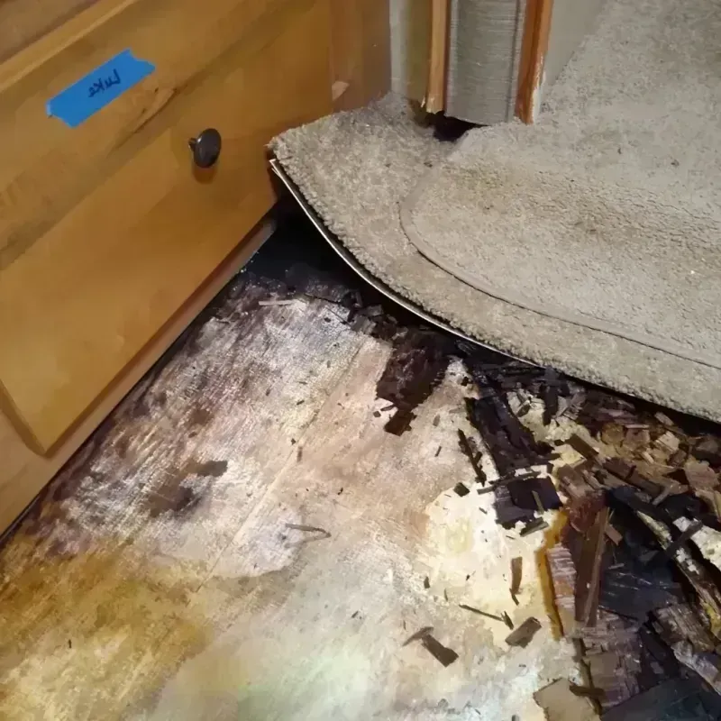 Best Wood Floor Water Damage Service in San Miguel County, NM